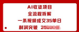 AI收徒项目全流程拆解一条视频成交35单日利润突破1k+-21资源库