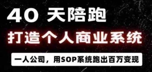 40天陪跑打造个人商业系统，一人公司，用SOP系统跑出百W变现-21资源库