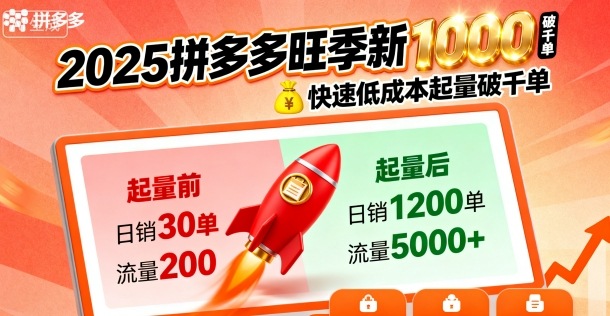 2025拼多多旺季新老店铺——快速低成本起量破千单-21资源库