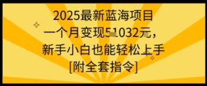 2025最新蓝海项目一个月变现1w+新手小白也能轻松上手【附全套指令】-21资源库