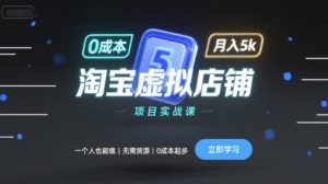 淘宝虚拟店铺项目实战课，一个人也能做，无需货源、0成本起步，月入5k-21资源库