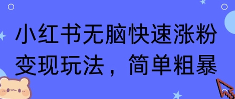 小红书无脑快速涨粉变现玩法，简单粗暴-21资源库