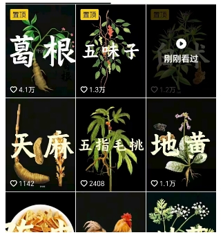 抖音中草药赛道，用AI做中草药故事视频，45条作品涨粉13W，橱窗带货猛猛出单-21资源库