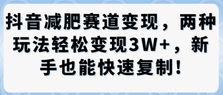 抖音减肥赛道变现，两种玩法轻松变现3W+，新手也能快速复制-21资源库