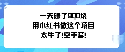 一天挣了9张用小红书做这个项目太牛了，空手套-21资源库