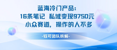 蓝海项目：16条笔记私域变现9750米小众赛道操作的人不多-21资源库
