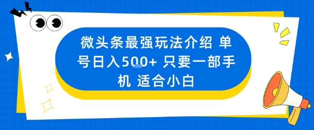 微头条最强玩法介绍一个号日入5张+只要一部手机适合小白-21资源库