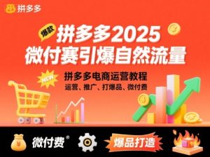 拼多多2025微付费引爆自然流量,拼多多电商运营教程,运营、推广、打爆品、微付费(更新)-21资源库
