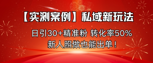 【实测案例】私域新玩法，日引30+精准粉，转化率50%，新人照做也能出单！-21资源库