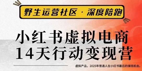 小红书虚拟电商14天变现训练营3.0，​虚拟产品，2025年普通人在小红书最后的搞钱机会-21资源库