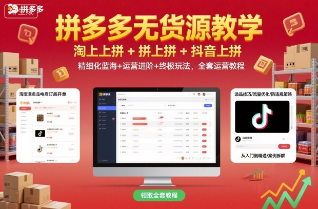 拼多多无货源教学，淘上拼+拼上拼+抖上拼，精细化蓝海+运营进阶+终极玩法，全套运营教程-21资源库