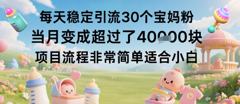 每天稳定引流30个宝妈粉当月变成超过了1W+项目流程非常简单适合小白-21资源库