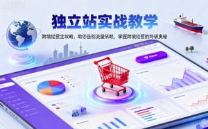 独立站实战教学，跨境经营全攻略，助您告别流量依赖，掌握跨境经营的终极奥-21资源库