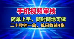 手机视频审核,随时随地可做,二十秒钟一单,单日收益4张+【揭秘】-21资源库