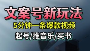 文案号新玩法，5分钟一条爆款视频，流量高，起号快，多方位变现-21资源库