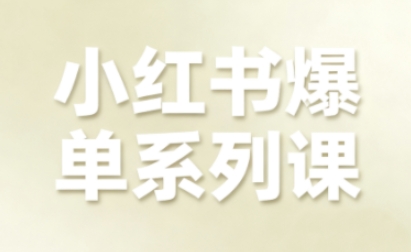 小红书爆单系列课，聚焦小红书电商全链路增长-21资源库