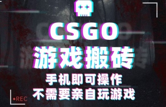 CSGO游戏挂G捡漏，单日扫货5张+，年底小高峰上车可吃肉，手机即可操作，兼职副业创业网创【揭秘】-21资源库