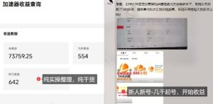 游戏加速器项目4.0_最新打法思路（爱玩游戏也能边玩边被动收益）-21资源库