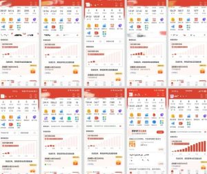 拼多多虚拟电商,门槛低,搬运上架,操作起来简单粗暴,单人单店三位数,可矩阵-21资源库