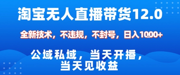 淘宝无人直播12.0，公域私域技术，不封号，不违规布局双十一流量风口，日入1k（独家技术）【揭秘】-21资源库