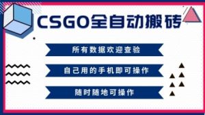 CSGO全自动搬砖，年底钱回家好项目，当天可拿到结果，新手小白轻松月入1W+【揭秘】-21资源库