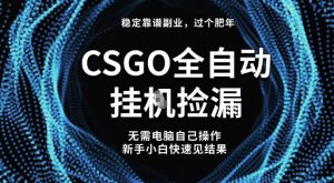 【稳定副业】全球最热门游戏CSGO全自动捡漏,最新玩法,新手小白日入5张+【揭秘】-21资源库