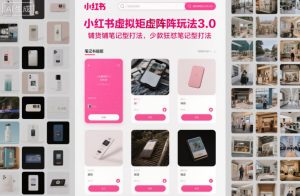 小红书虚拟矩阵玩法3.0,铺货铺笔记型打法,少款狂怼笔记型打法-21资源库