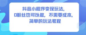 抖音小程序变现玩法，0粉丝也可以做，不需要成本，简单的玩法教程-21资源库