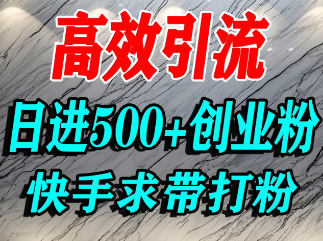 怎么打创业粉？快手求带视角精准引流创业粉，宝妈、学生群体日进500+精准流量-21资源库