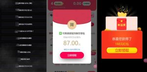 网络项目万能辅助工具_万能配合拉新项目吃遍提成-21资源库