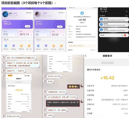 当天能收益的3个小项目拆解_包括平台+操作流程-21资源库