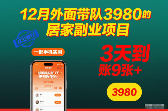 12月外面带队3980的居家副业项目，一部手机实测3天到账9张+，首发教程【揭秘】-21资源库