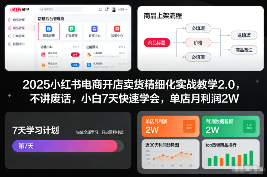 2025小红书电商开店卖货精细化实战教学2.0，不讲废话，小白7天快速学会，单店月利润2W-21资源库