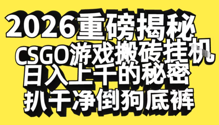 2026开年重磅解密，CSGO游戏搬砖挂G日入1k+的秘密，把倒狗的底裤扒干【揭秘】-21资源库