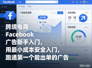 跨境电商Facebook广告新手入门，用最小成本安全入门，跑通第一个能出单的广告-21资源库