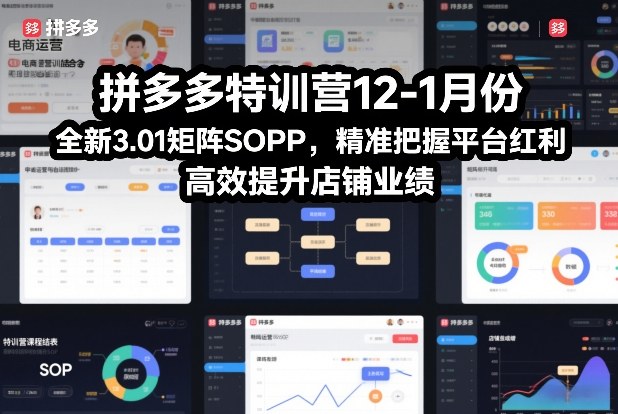 拼多多特训营12-1月份，全新3.01矩阵Sop，精准把握平台红利，高效提升店铺业绩-21资源库