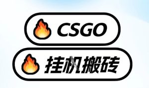 真全网独家CSGO挂G，最新玩法,单日捡漏1K+，不用电脑，不用打游戏【揭秘】-21资源库