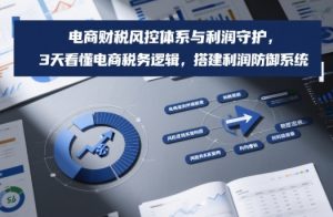 电商财税风控体系与利润守护，3天看懂电商税务逻辑，搭建利润防御系统-21资源库