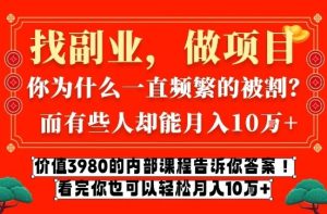 价值3980的网创内部课程，告诉你互联网创业月入10个W的秘密【揭秘】-21资源库