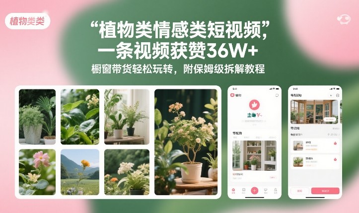 植物类情感类短视频，一条视频获赞36W+，橱窗带货轻松玩转，附保姆级拆解教程-21资源库