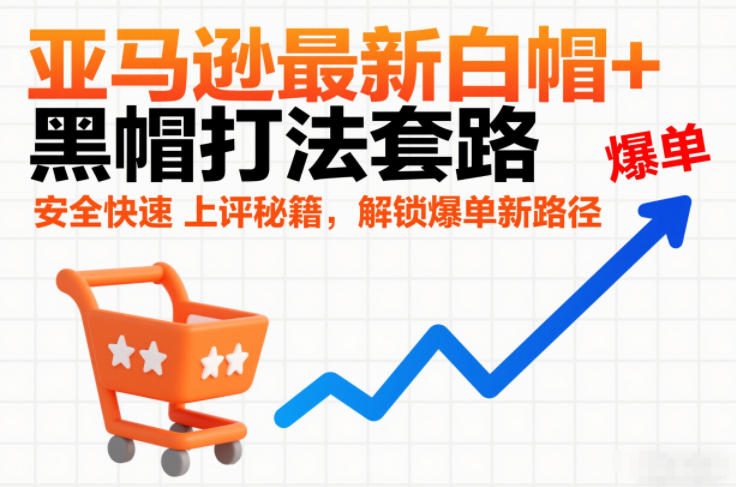亚马逊最新白帽+黑帽打法套路，安全快速上评秘籍，解锁爆单新路径-21资源库