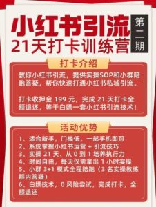 小红书引流21天打卡训练营第二期，助你快速打通小红书私域引流打粉-21资源库