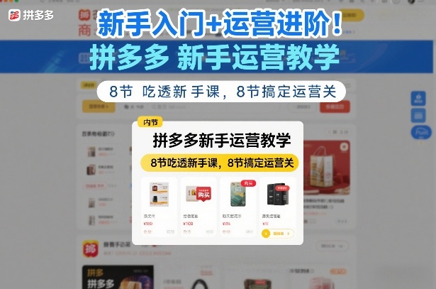 新手入门+运营进阶！拼多多新手运营教学，8节吃透新手课，8节搞定运营关-21资源库