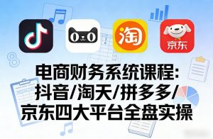 电商财务系统课程，覆盖抖音、淘天、拼多多、京东四大主流平台的全盘实操-21资源库
