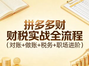 拼多多财税实战全流程（对账+做账+税务+职场进阶）-21资源库