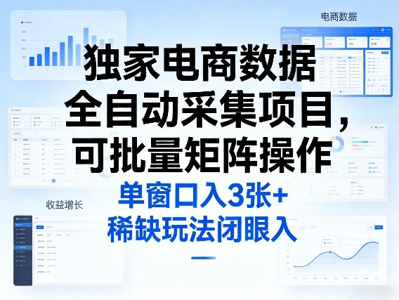独家电商数据全自动采集项目，可批量矩阵操作，单窗口日入3张+，稀缺玩法闭眼入【揭秘】-21资源库