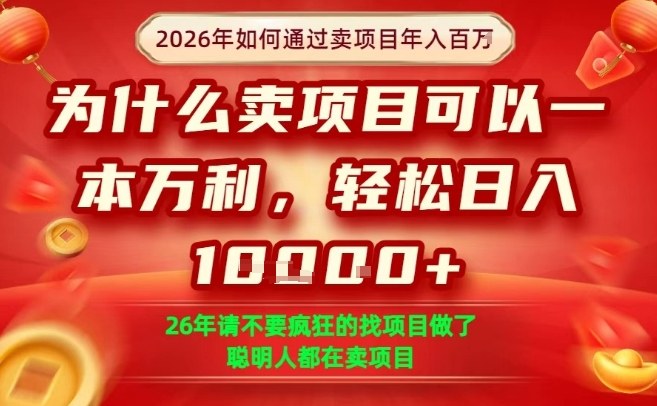 一单净利润1K+，26年想年入100个W，死磕卖项目就够了【揭秘】-21资源库