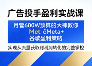 广告投手盈利实战课,月管600W预算的大神教你Meta+谷歌盈利策略,实现从流量获取到利润转化的完整掌控-21资源库