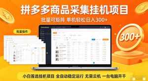 拼多多商品信息全自动采集项目，批量可矩阵，单机轻松日入300+，无需云机一台电脑开干【揭秘】-21资源库