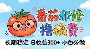 番茄撸金术：日入300+稳如泰山！独家玩法曝光，操作门槛极低，无需经验，小白闭眼上车【揭秘】-21资源库